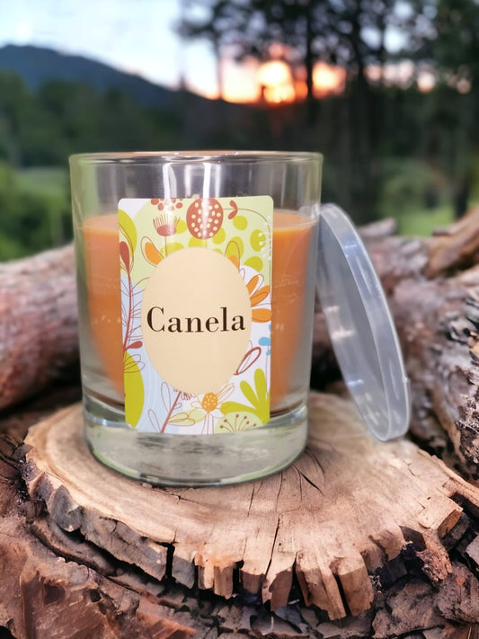 Candela home profuma di cannella